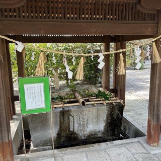立坂神社の参拝記録(くりりんさん)