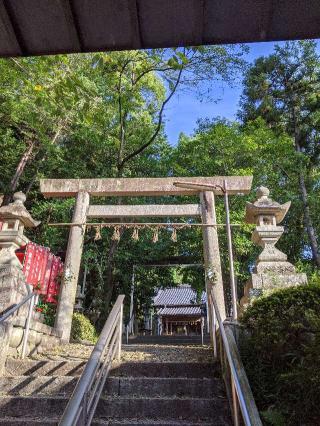 尾野神社の参拝記録(たっけん65さん)