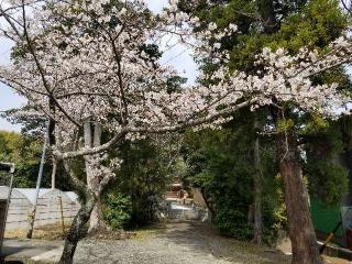 深江神社の参拝記録(銀玉鉄砲さん)