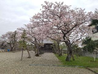福地神明社の参拝記録(銀玉鉄砲さん)