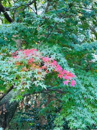 賀毛神社の参拝記録(skさん)