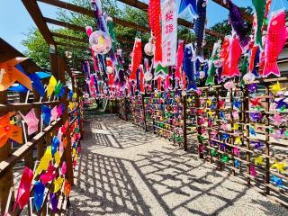 金井神社の参拝記録(おきなさん)