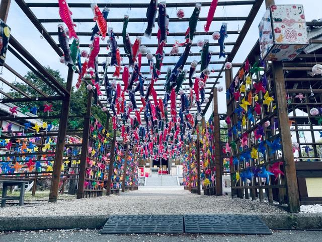 金井神社の参拝記録4