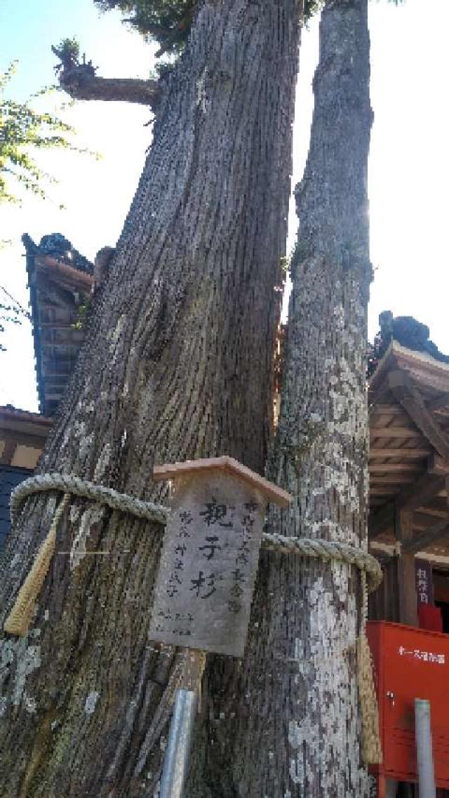 三重県いなべ市藤原町坂本 83 鳴谷神社の写真3