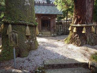鳴谷神社の参拝記録(ゆりかさん)