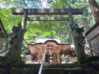 福王神社の参拝記録(ゆーたさん)