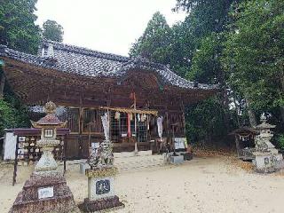 千種神社の参拝記録(みどりさん)