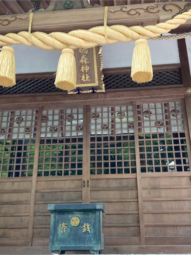 鵜森神社の参拝記録3