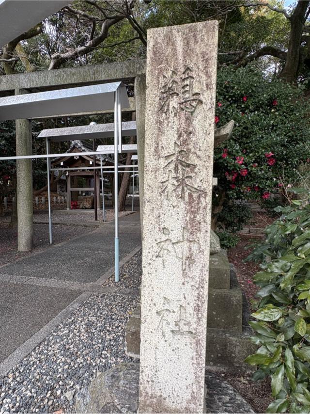 鵜森神社の参拝記録4