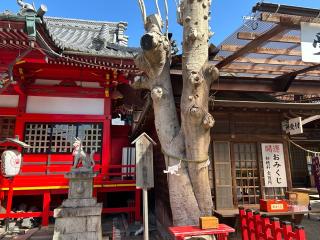 海山道神社の参拝記録(くりりんさん)