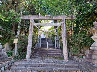 菟上耳利神社の参拝記録(銀玉鉄砲さん)