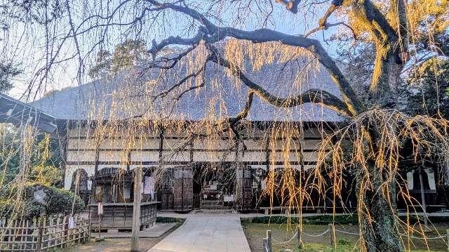 青竜山 茂林寺の参拝記録2