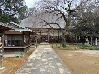 青竜山 茂林寺の参拝記録(こーちんさん)