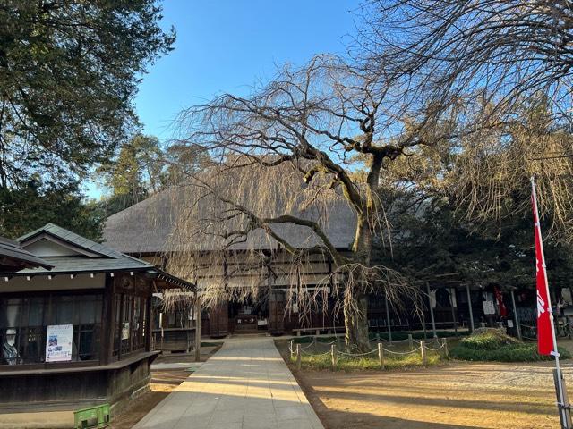 青竜山 茂林寺の参拝記録3