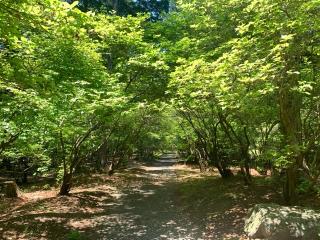 伊奈冨神社の参拝記録(くーさん)