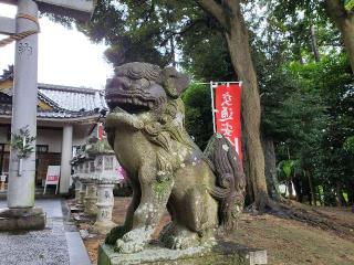 飯野神社の参拝記録(飛成さん)