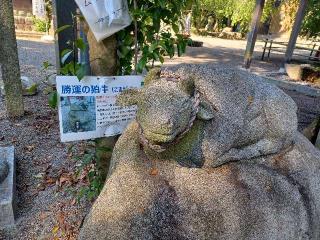 菅原神社の参拝記録(銀玉鉄砲さん)