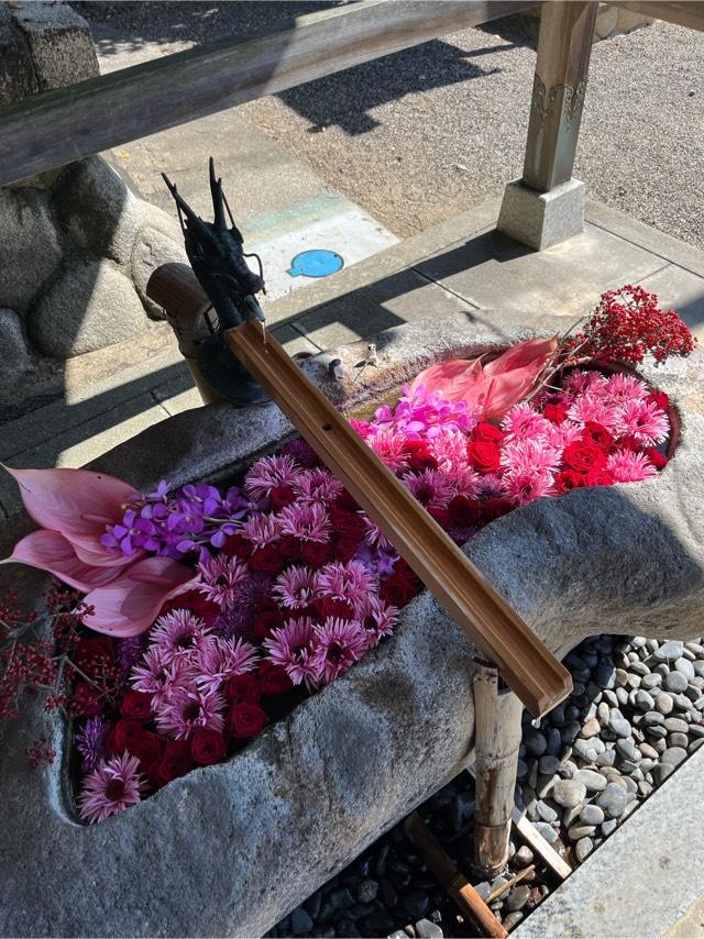 都波岐神社・奈加等神社の参拝記録8