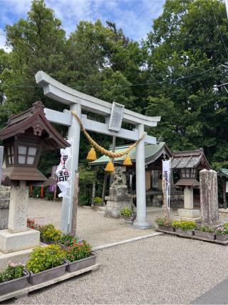 都波岐神社・奈加等神社の参拝記録(⛩️🐍🐢まめ🐢🐍⛩️さん)