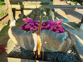 都波岐神社・奈加等神社の参拝記録(qo_opさん)