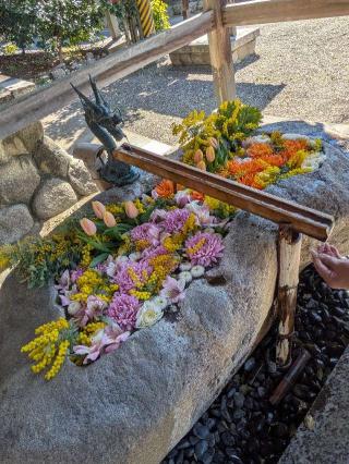 都波岐神社・奈加等神社の参拝記録(はつさん)
