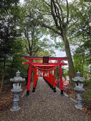 彌都加伎神社の参拝記録(美乃姫さん)