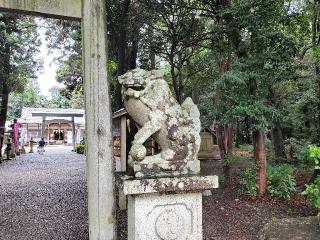 大木神社の参拝記録(飛成さん)