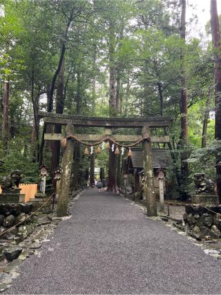 椿大神社の参拝記録(⛩️🐍🐢まめ🐢🐍⛩️さん)