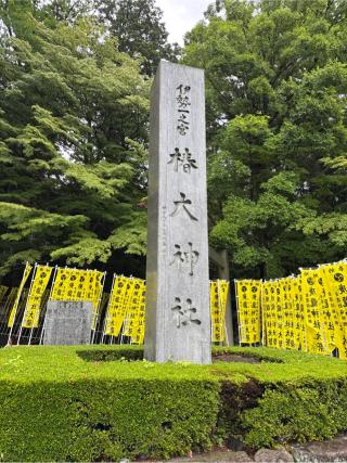 椿大神社の参拝記録(⛩️🎠🐢まめ🐢🎠⛩️さん)