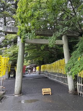 椿大神社の参拝記録(⛩️🎠🐢まめ🐢🎠⛩️さん)