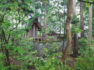 庄内神社の参拝記録(みどりさん)