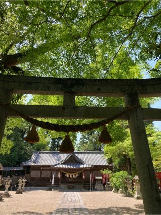 亀山神社の参拝記録(恭子さん)