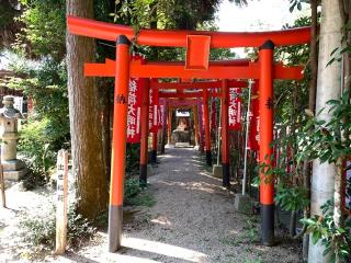 亀山神社の参拝記録(くーさん)