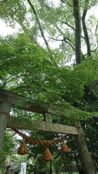 亀山神社の参拝記録(まさやんさん)