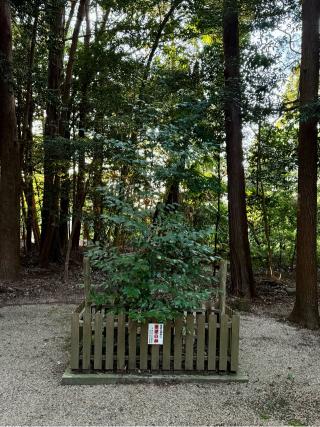 能褒野神社の参拝記録(qo_opさん)