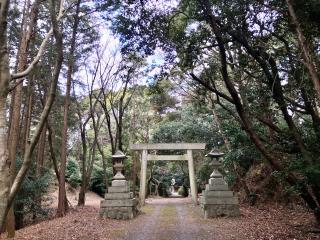彌尼布理神社の参拝記録(じゃすてぃさん)