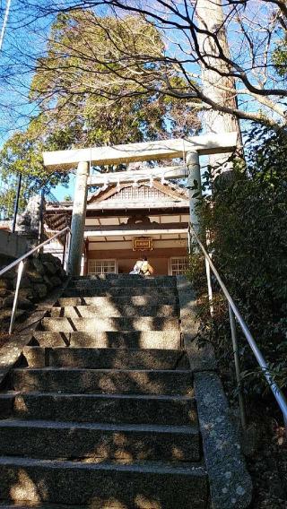 辰水神社の参拝記録(たまりんさん)