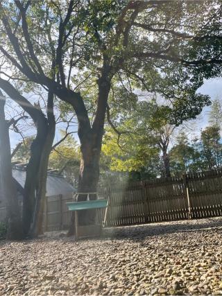 香良洲神社の参拝記録(しーぼんさん)