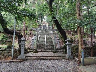 川口白山比咩神社の参拝記録(銀玉鉄砲さん)