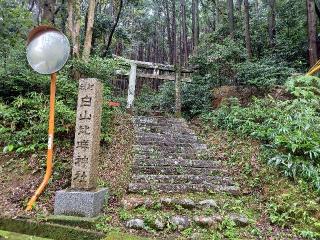 川口白山比咩神社の参拝記録(銀玉鉄砲さん)