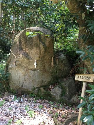 川口白山比咩神社の参拝記録(rinaさん)