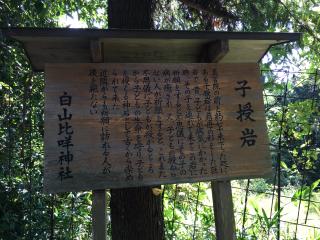 川口白山比咩神社の参拝記録(rinaさん)