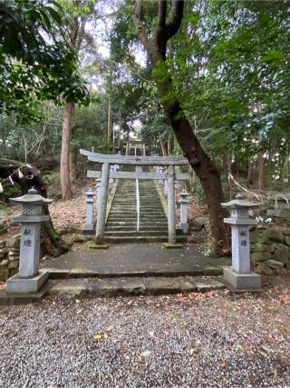 川口白山比咩神社の参拝記録(二代目無宿さん)