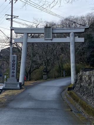 川口白山比咩神社の参拝記録(二代目無宿さん)