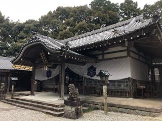 川口白山比咩神社の参拝記録(田中さん)