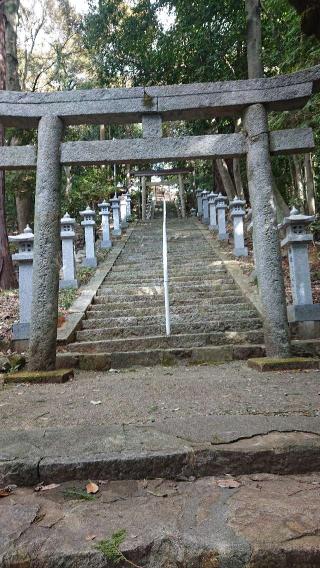 川口白山比咩神社の参拝記録(いそぞーさん)