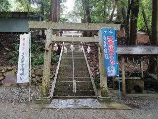 山田野白山比咩神社の参拝記録(銀玉鉄砲さん)