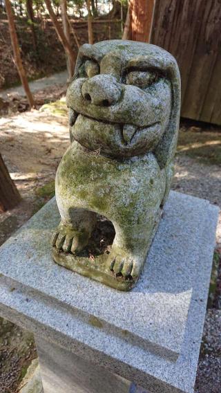 山田野白山比咩神社の参拝記録(いそぞーさん)