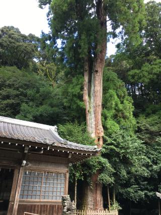 竹原神社の参拝記録(rinaさん)