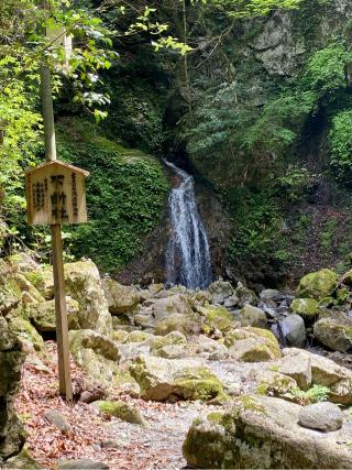若宮八幡宮の参拝記録(さくらさん)